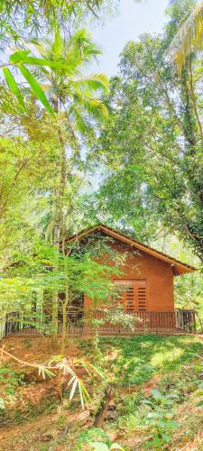 烏達瓦拉維的住宿－Walawa Dreams Safari Resort，森林中间的小房子