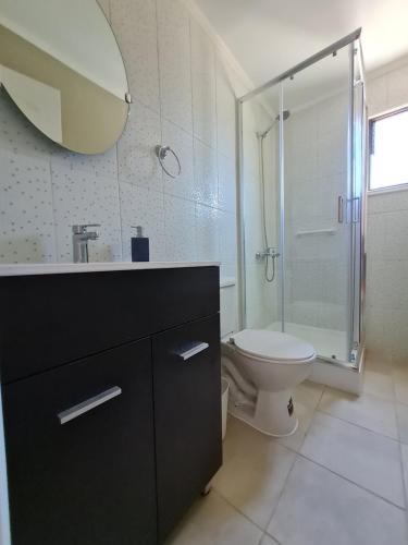 uma casa de banho com um WC, um chuveiro e um lavatório. em Cabañas y Loft Parronal em Vicuña