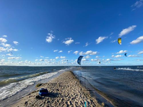 a group of people flying kites on the beach at Willa Davia in Rewa