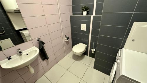 a bathroom with a toilet and a sink at Ubytování Třeboň - apartmány Rožmberk, Svět a Baštýř in Třeboň