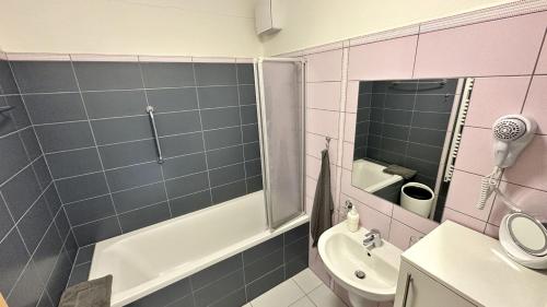 a bathroom with a sink and a toilet and a shower at Ubytování Třeboň - apartmány Rožmberk, Svět a Baštýř in Třeboň
