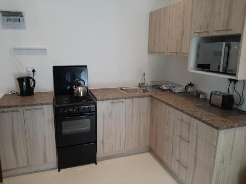 a kitchen with a black stove and a sink at Mooiplaas Wine Estate in Stellenbosch