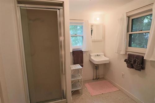 a bathroom with a shower and a sink at Beach Retreat in Harbor Springs