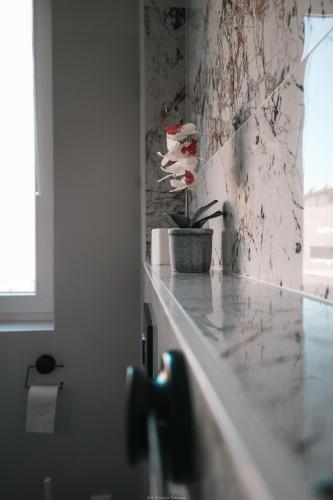 a kitchen counter with a potted plant on the wall at Apartament Komfort in Słupsk