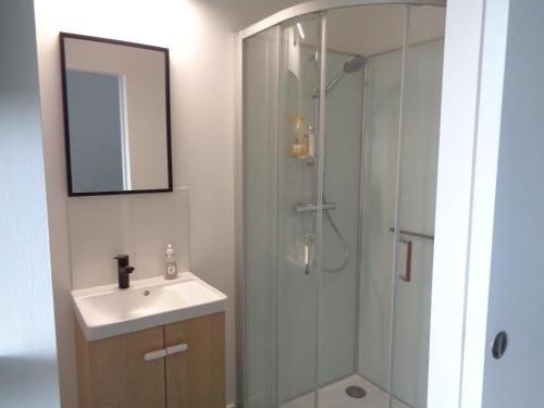 bagno con doccia, lavandino e specchio di la maison blanche a Cléden-Cap-Sizun