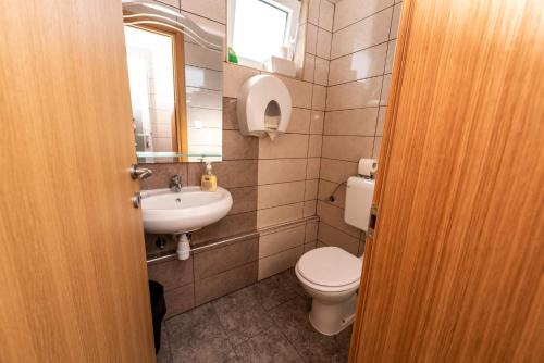 een badkamer met een toilet en een wastafel bij Kušaona Šokac in Trenkovo