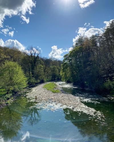 a river with a person standing in the middle of it at Ribblesdale Park in Gisburn
