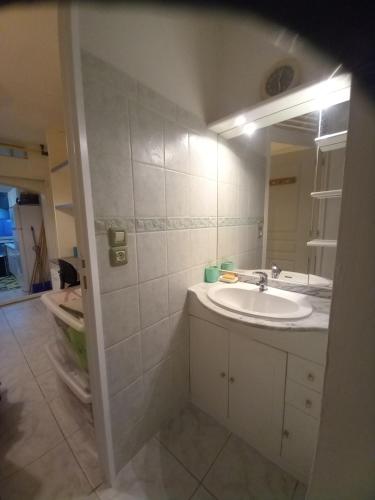 een badkamer met een wastafel en een spiegel bij T2 en villa à 20mn du centre in Toulon