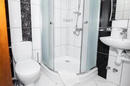 a bathroom with a shower and a toilet and a sink at Готель Скіфія in Lviv