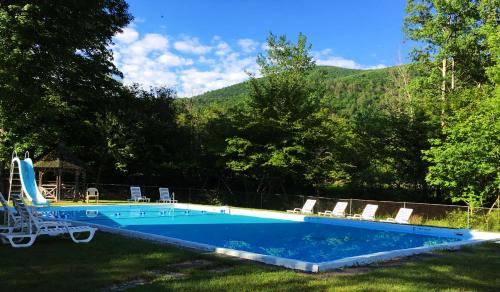 Oliverea的住宿－斯萊德山森林之家度假村，草地上的游泳池,周围设有椅子