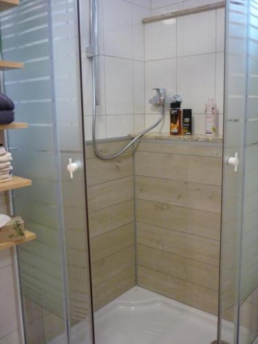 a shower with a glass door in a bathroom at Haus am Sandsteinbruch in Zaberfeld