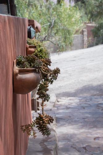 Jardín al aire libre en Tinku