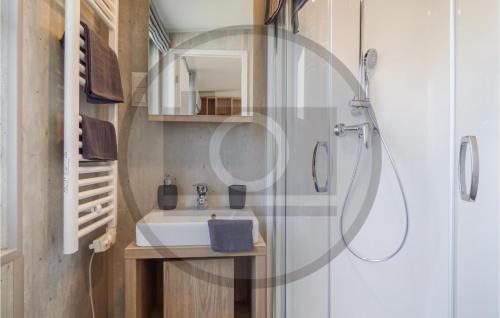 een badkamer met een wastafel, een spiegel en een douche bij Tiny Haus 17 Am Brombachsee in Pleinfeld
