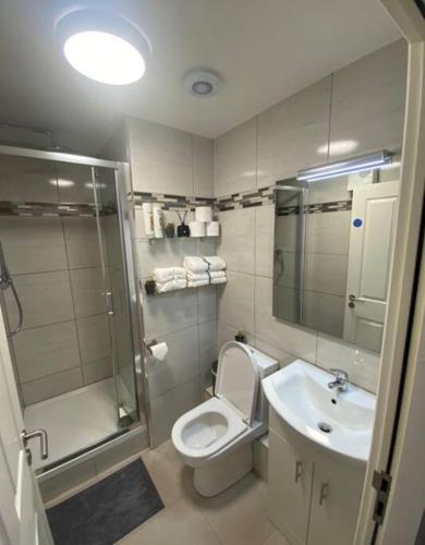 a bathroom with a toilet and a shower and a sink at Modern and Cosy 1-Bed Apt in the Heart of Dublin in Dublin