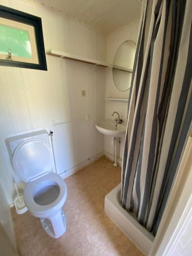 une petite salle de bain avec toilettes et lavabo dans l'établissement Cottage Rosa, à Tourtoirac