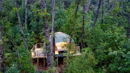 a tree house in the middle of a forest at Bosque Vivo in Recinto