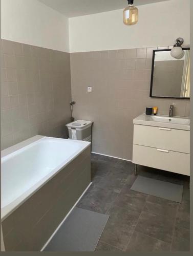 a bathroom with a bath tub and a sink at Appartement de charme au cœur du centre ville . in Millau