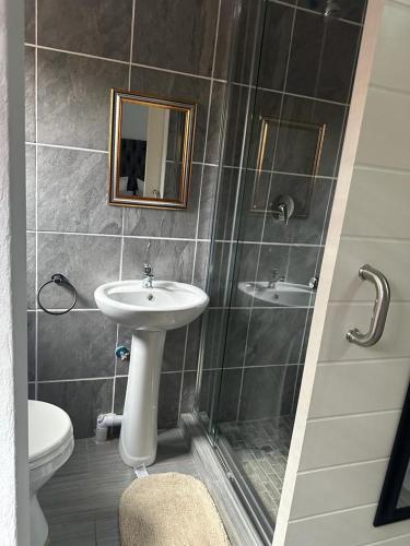 a bathroom with a sink and a toilet and a mirror at The Curve Apartments Unit 5 in Johannesburg