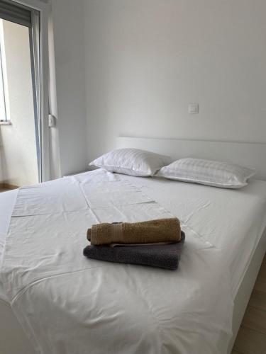 APARTMAN LOLA