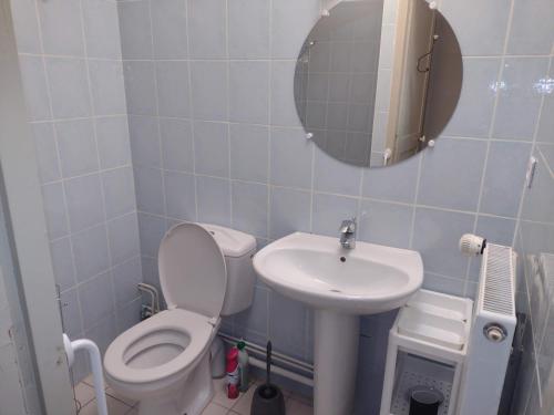 a bathroom with a toilet and a sink at Appartement RDC chez Caroline in Bourbonne-les-Bains