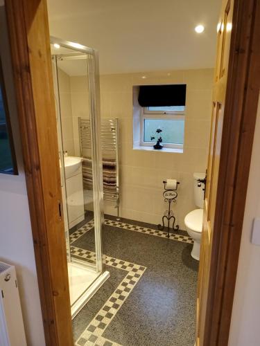 a bathroom with a shower and a toilet and a window at Deuglawdd in Pwllheli