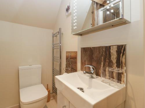 a bathroom with a white sink and a toilet at Palace Studio in Hereford