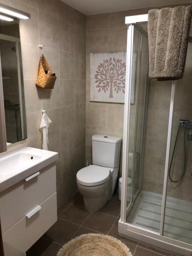 a bathroom with a toilet and a shower at Apartamento Playa de Barro in Barro de Llanes