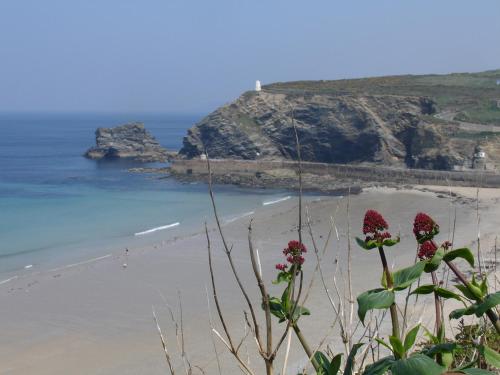 a view of a beach with red flowers in the foreground at Byghan Thornton in Redruth