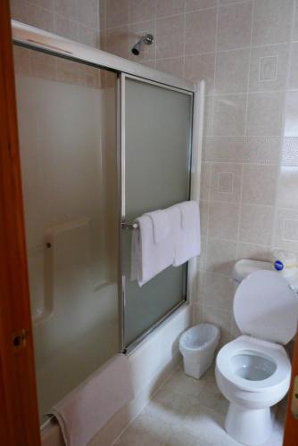 a bathroom with a toilet and a shower with towels at Slide Mountain Forest House in Oliverea