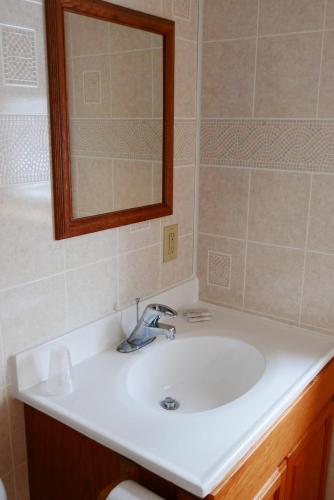 a bathroom with a white sink and a mirror at Slide Mountain Forest House in Oliverea