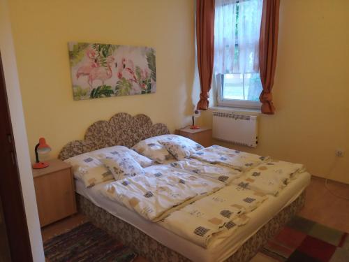a bedroom with a bed in a room with a window at Penzion Rose in Štúrovo