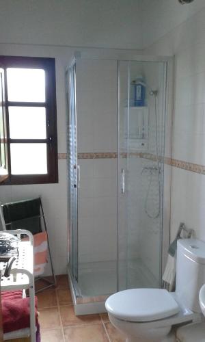 ein Bad mit einer Dusche und einem WC in der Unterkunft Casa Rural de alquiler integro La Cantina de Villarmayor-Asturias in Villarmayor