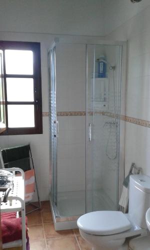 a bathroom with a shower and a toilet at Casa Rural de alquiler integro La Cantina de Villarmayor-Asturias in Villarmayor