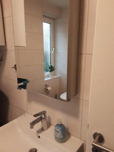 uma casa de banho com um lavatório e um espelho em Zimmer Anna em Parchim