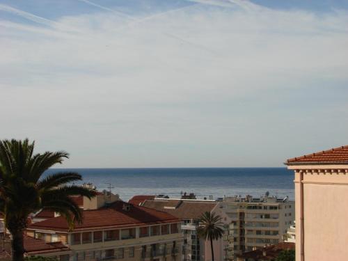 ACCI Cannes Les Yuccas photo 22