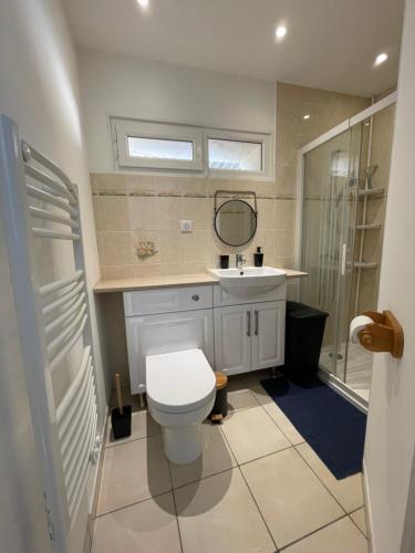 La salle de bains est pourvue de toilettes, d'un lavabo et d'un miroir. dans l'établissement Le Pyrénéen - L'industriel - Maison Cosy, à Cazaubon