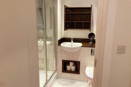 a bathroom with a glass shower and a sink at Superb Apartment CR0 in Croydon
