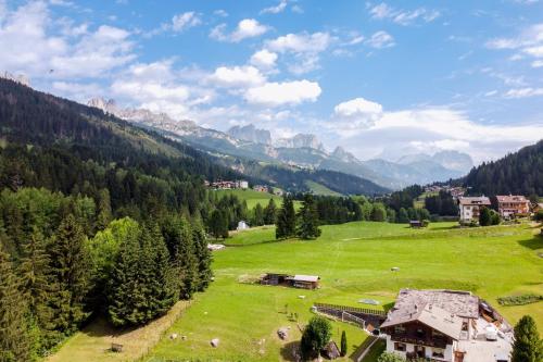 a green field with houses and trees and mountains at Hotel Fanes Suite & Spa in Moena