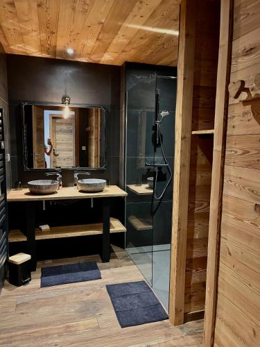 une salle de bain avec douche et lavabo dans l'établissement Appartement les Clochettes 1 - Pied des pistes, à Les Deux Alpes