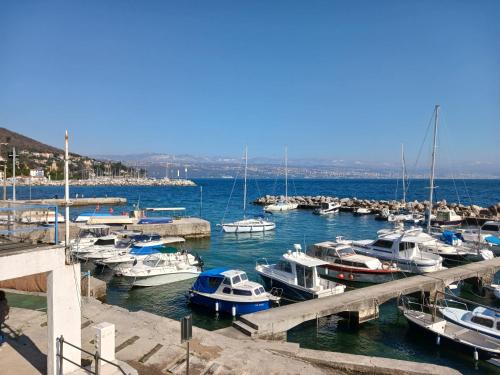 a bunch of boats are docked in a harbor at Apartment Lady Daniela mit Meerblick in Lovran in Lovran