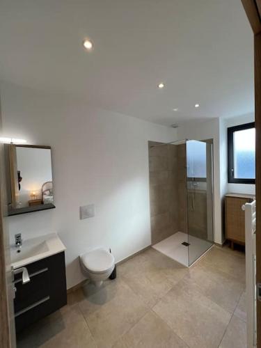 une salle de bain avec toilettes, lavabo et douche dans l'établissement IsulaRossaBellaVista-GrandPenthouse, à LʼÎle-Rousse