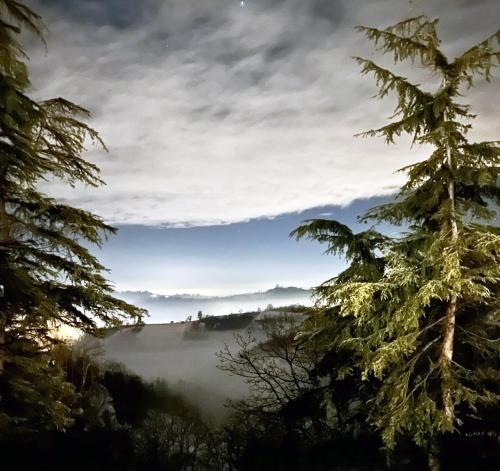 a view of a foggy valley between two trees at Dimora Roè in Monticello d'Alba