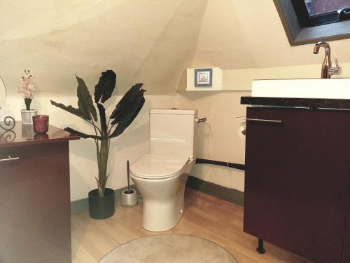 La salle de bains est pourvue de toilettes et d'une plante. dans l'établissement Maison de ville avec patio, au Havre
