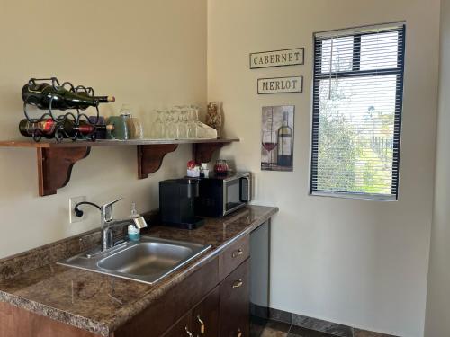 una cocina con fregadero y microondas en Villas Persas by Jardin de Persia, en Valle de Guadalupe