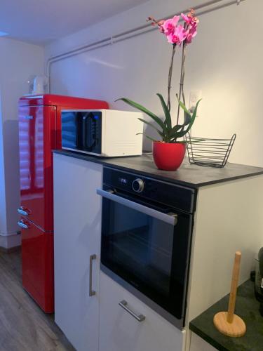 une cuisine avec un four micro-ondes noir et une plante sur un comptoir dans l'établissement Appartement moderne, à Saint-Mihiel