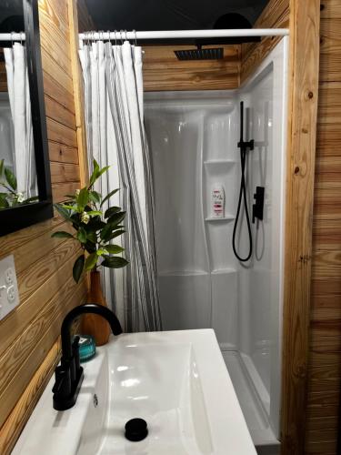 W łazience znajduje się biała umywalka i prysznic. w obiekcie WISH UPON A STAR VACATION PROPERTIES w mieście Rogersville