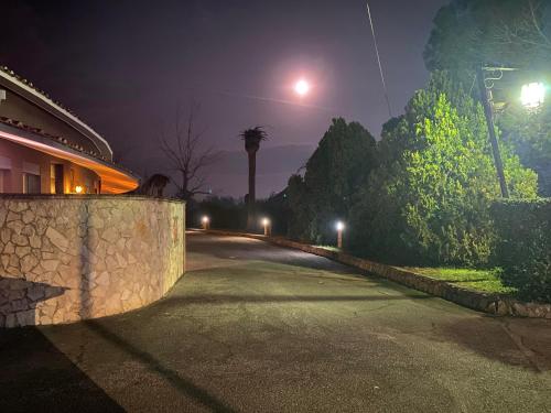 a street at night with a palm tree in the distance at American Motel in Cisterna di Latina