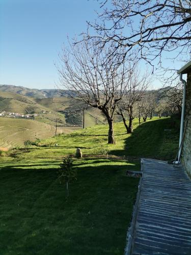 a wooden walkway leading to a green field with trees at Quinta de Travassinhos- Douro Valley & Spa in Santa Marta de Penaguião