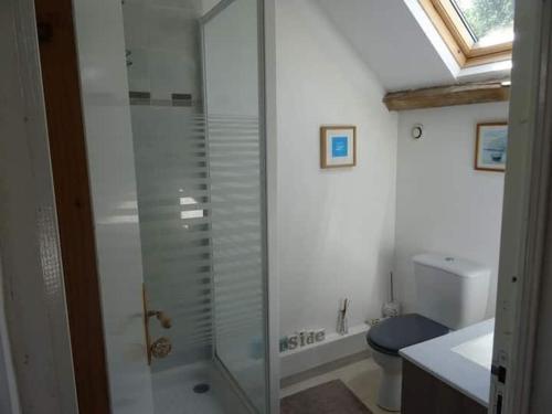 une salle de bain avec une douche en verre et des toilettes dans l'établissement Gîte du Nouveau Monde, à Langoëlan