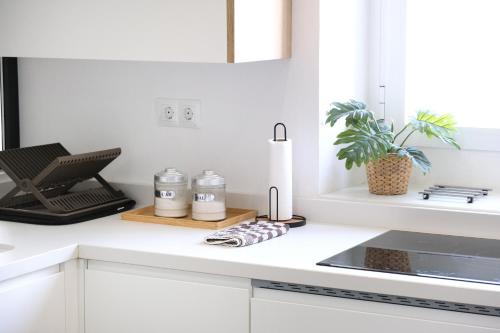 a kitchen with white cabinets and a plant on a counter at AOVE Suite in Jaén